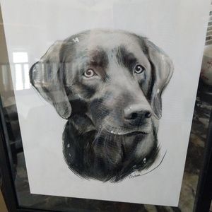 Meet your Posher, Maureen